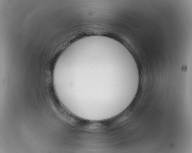 X0000113100459200908280956