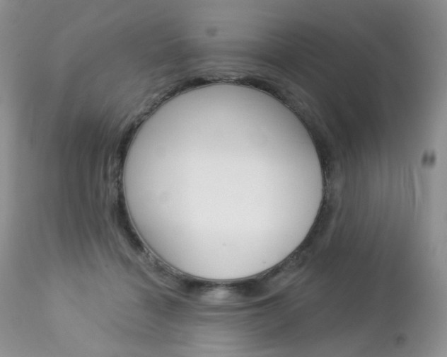 X0000113100460200908280956