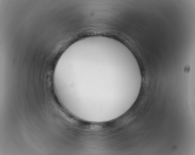 X0000113100462200908280956