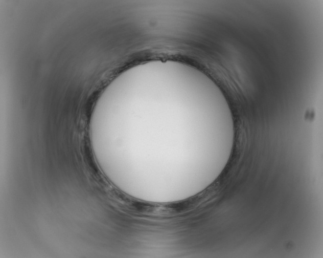 X0000113100463200908280956