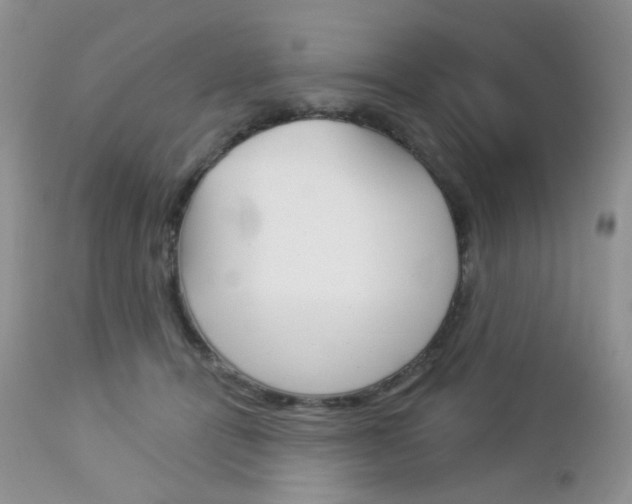 X0000113100464200908280956