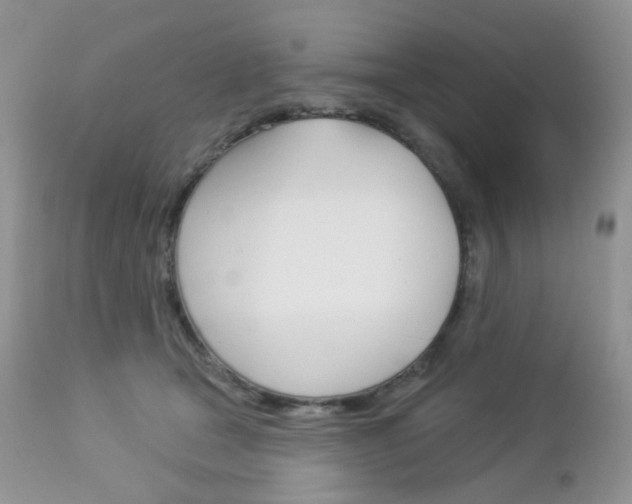 X0000113100465200908280956