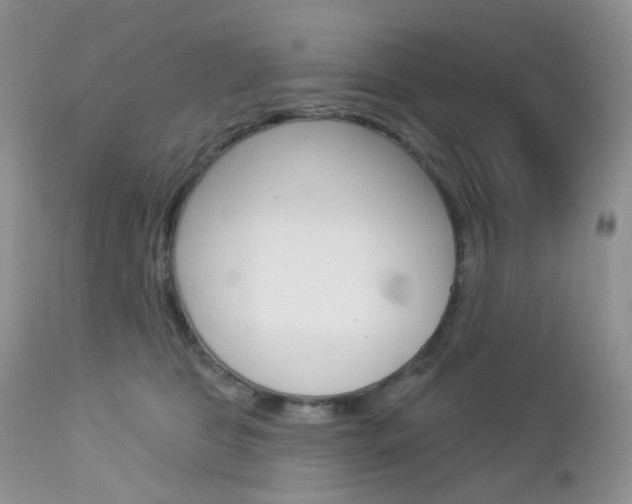 X0000113100469200908280956