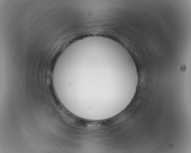 X0000113100470200908280956
