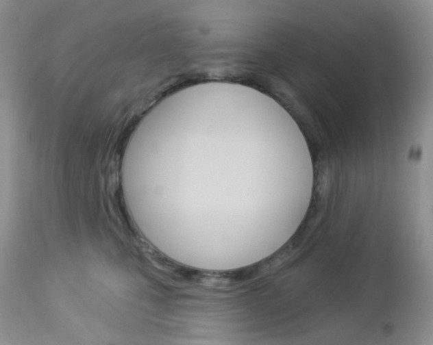 X0000113100471200908280956