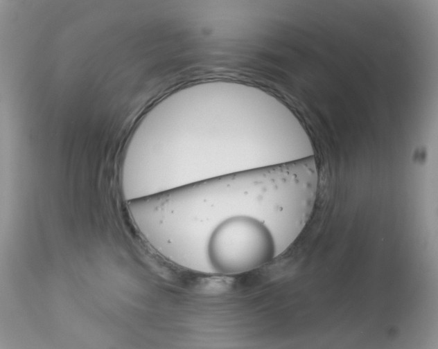 X0000113100474200908280956