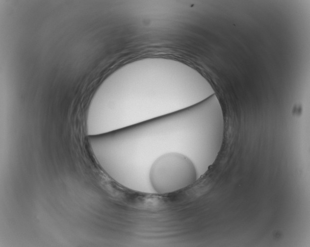 X0000113100475200908280956