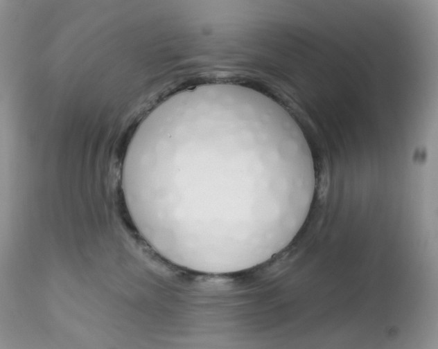 X0000113100476200908280956