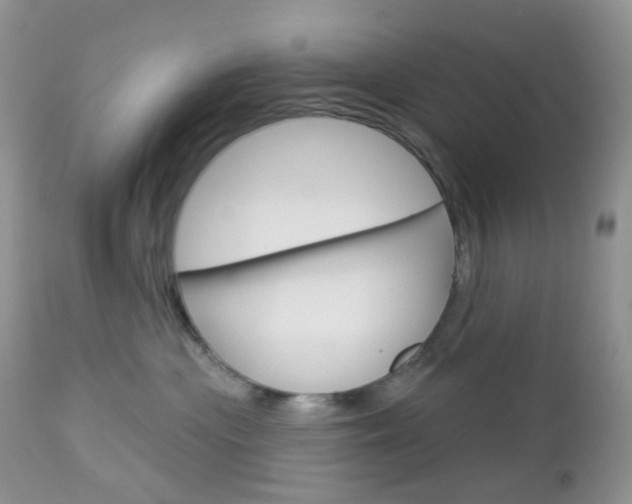X0000113100477200908280956