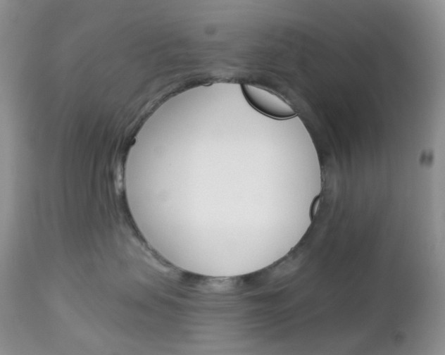 X0000113100479200908280956