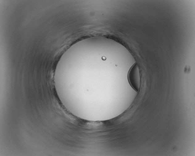 X0000113100480200908280956