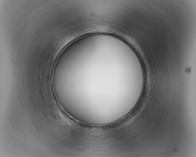 X0000113100481200908280956