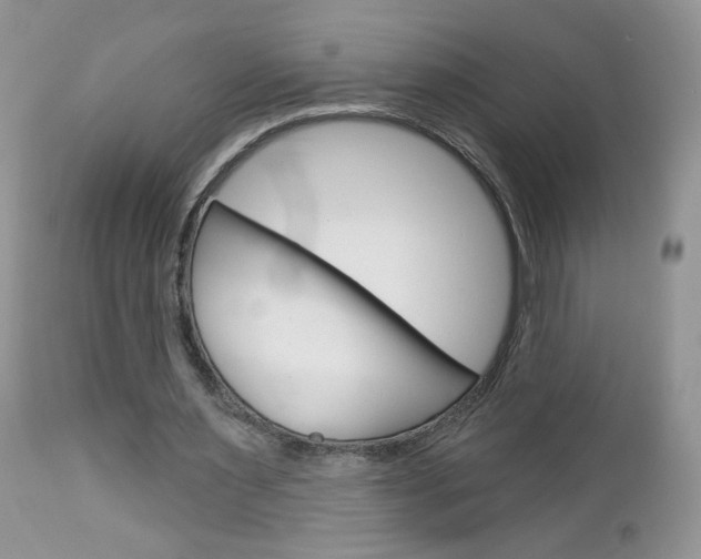 X0000113100483200908280955