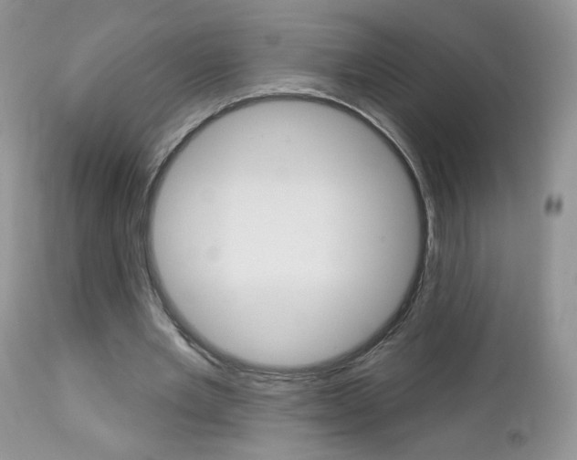 X0000113100485200908280955