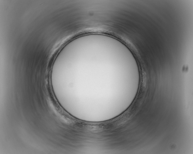 X0000113100486200908280955