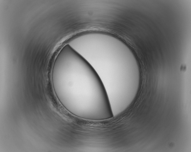 X0000113100488200908280955