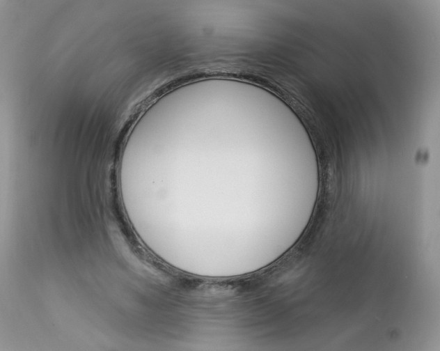 X0000113100491200908280955