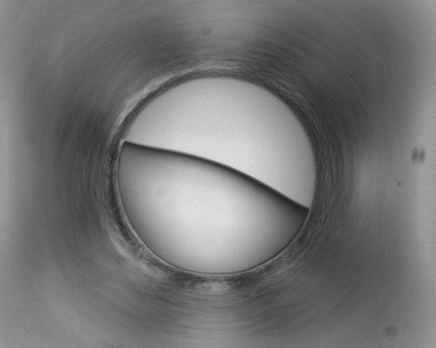 X0000113100492200908280955
