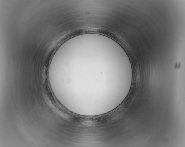 X0000113100494200908280955