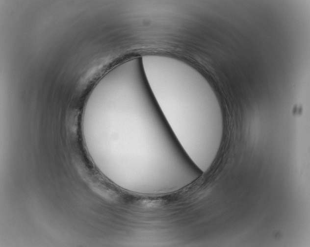 X0000113100495200908280955