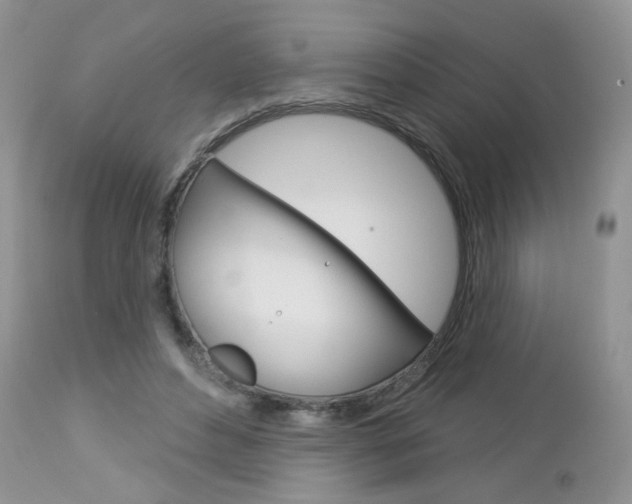 X0000113100496200908280955