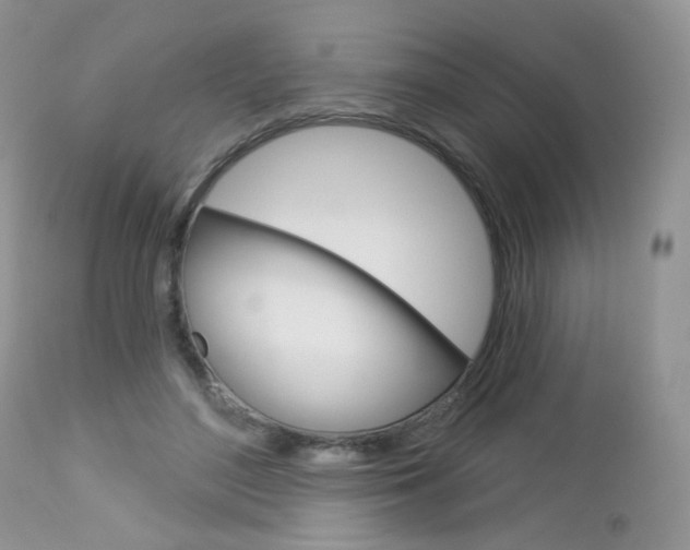 X0000113100500200908280955