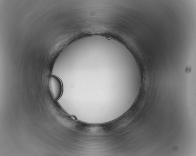 X0000113100501200908280955