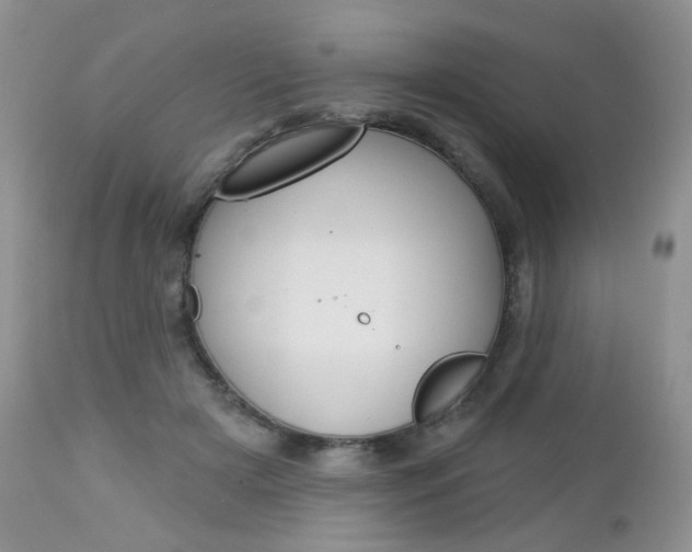 X0000113100505200908280955