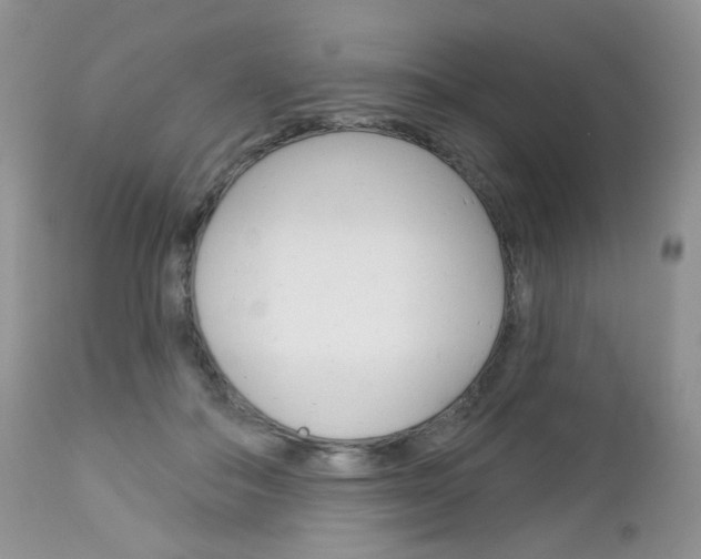 X0000113100506200908280955