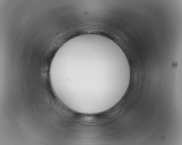 X0000113100507200908280955