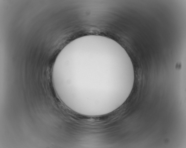 X0000113100511200908280955