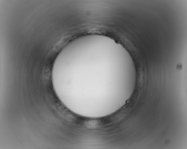 X0000113100513200908280955
