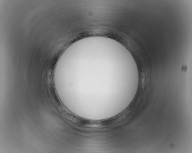 X0000113100514200908280955