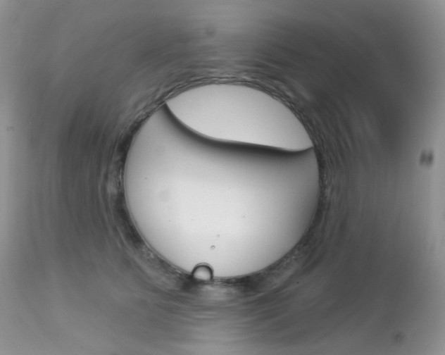X0000113100515200908280955