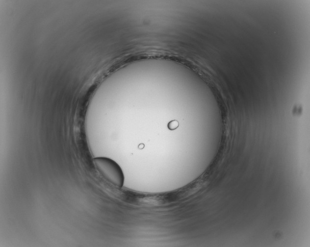 X0000113100516200908280955