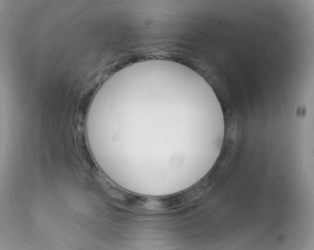 X0000113100518200908280955