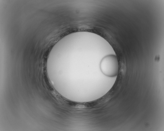 X0000113100519200908280955