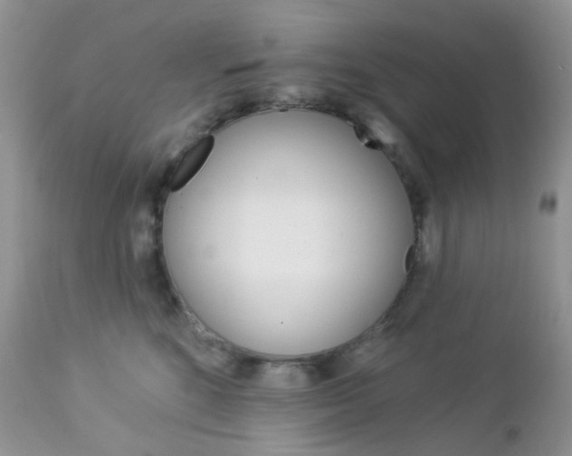 X0000113100520200908280955