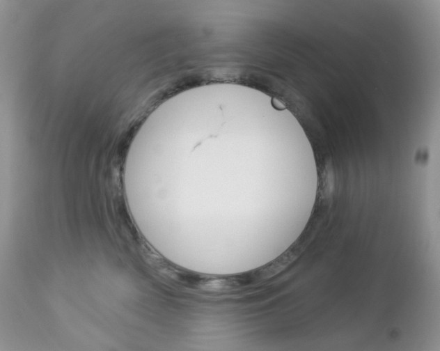 X0000113100522200908280955