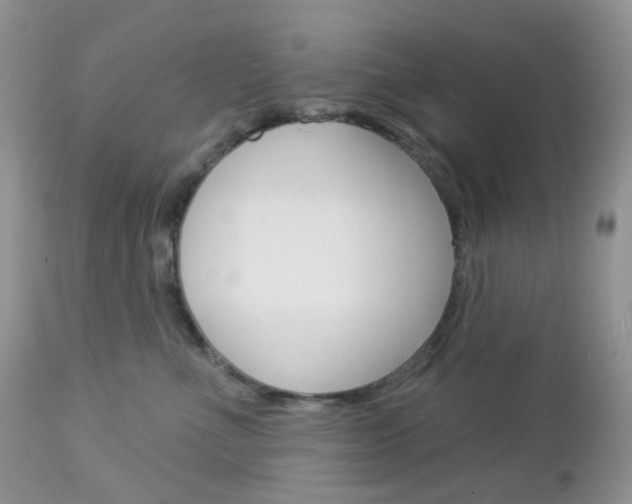 X0000113100523200908280955