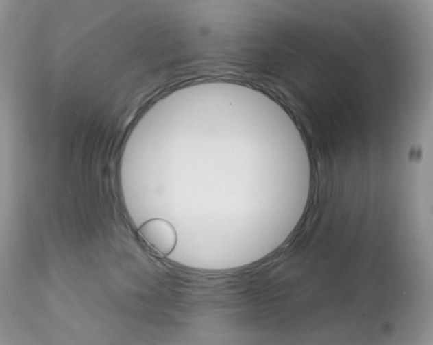 X0000113100524200908280955