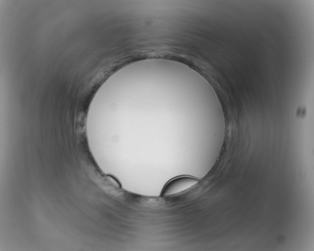 X0000113100525200908280955