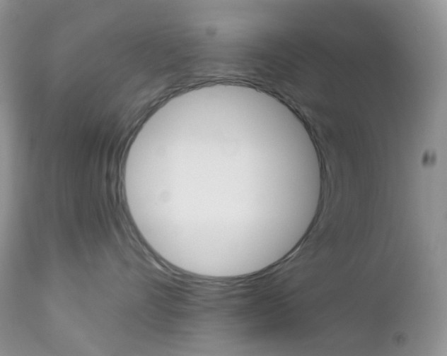 X0000113100528200908280955