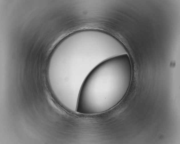 X0000113100530200908280954