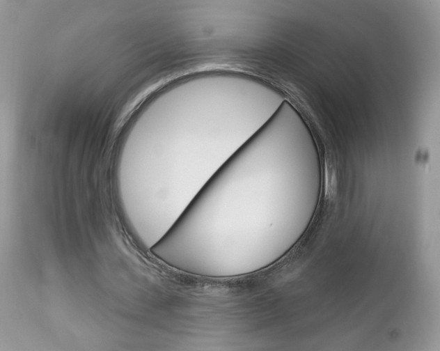 X0000113100531200908280954