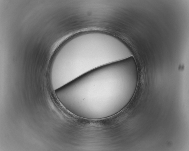 X0000113100536200908280954