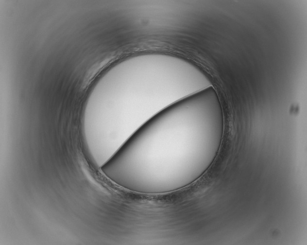 X0000113100538200908280954