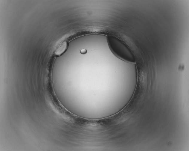 X0000113100540200908280954