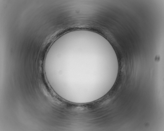 X0000113100542200908280954