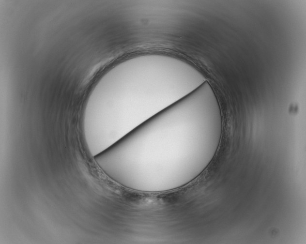 X0000113100543200908280954